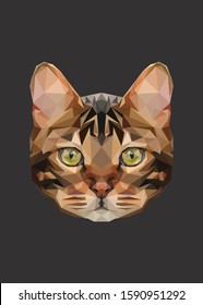 Animal low poly symmetrical vector head of a cat in high details. With black color background. EPS 10. Ideal for illustration, wall decoration or t-shirts.
