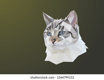 Animal low poly vector head of a cat in high details. With green color background. EPS 10. Ideal for poster and t-shirt.