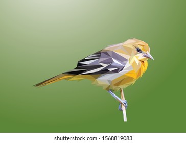 Animal low poly vector of a Robin Bird in high details. Left view. With green color background. EPS 10. Ideal for poster and t-shirt.