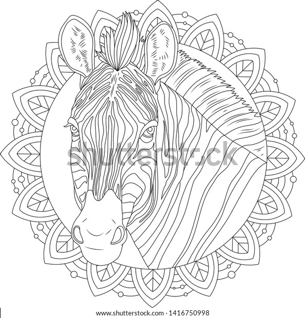 animal madala coloring page zebra mandala stock vector