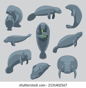 Animal Manatee Dugong Nine Poses Cartoon Vector Cute svg