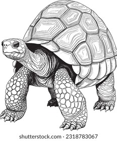 Animal Mandala Coloring paged for kids and adults stress relief