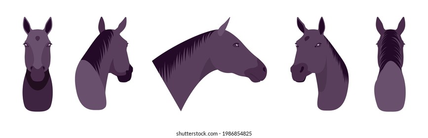 Animal mask black horse head, faux taxidermy gallery wall mount decor. Hunting trophy, zoo museum hanging, avatar. Vector flat style cartoon illustration isolated, white background, different views