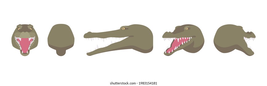 Animal mask crocodile head, faux taxidermy gallery wall mount decor. Hunting trophy, zoo museum hanging, cute avatar. Vector flat style cartoon illustration isolated, white background, different views