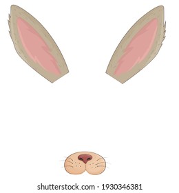 Animal mask filter template hare. Ears and nose