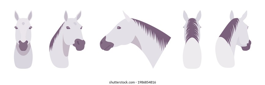 Animal mask white horse head, faux taxidermy gallery wall mount decor. Hunting trophy, zoo museum hanging, avatar. Vector flat style cartoon illustration isolated, white background, different views