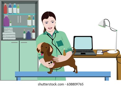 Animal medical care concept with female doctor checking dog health using stethoscope in clinic vector illustration