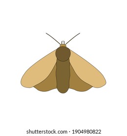 Animal Moth Fill Line Icon Vector Illustration