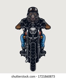 Animal motorcyclist colorful vintage concept with angry wild boar head biker riding motorbike on light background isolated vector illustration