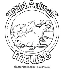 Animal Mouse Coloring Book