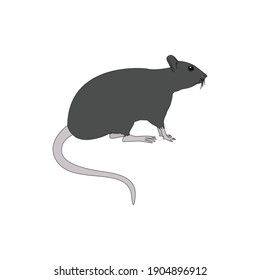 animal mouse fill line icon vector illustration