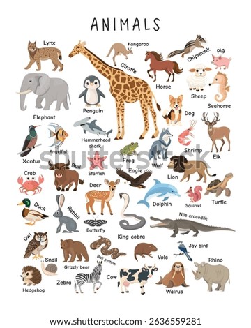 Animal Names Chart – Illustrated Educational Poster for Kids. Colorful animal illustration poster to help kids learn animal names and appearances easily and interactively