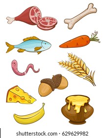 animal natural food items. vector illustration