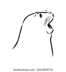 The animal is a navy seal. Monochrome logo of a marine animal. Vector isolated hand drawing in doodle style. Contour linear isolated icon. The page of the coloring book.