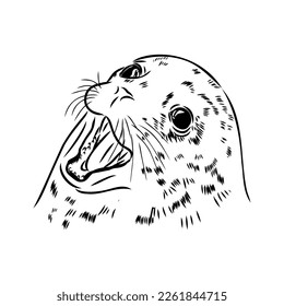 The animal is a navy seal. Monochrome logo of a marine animal. Vector isolated hand drawing in doodle style. Contour linear isolated icon. The page of the coloring book.