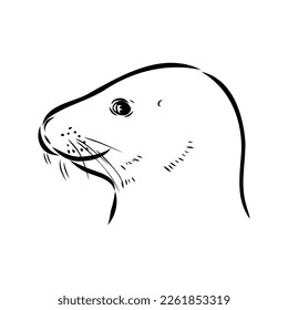 The animal is a navy seal. Monochrome logo of a marine animal. Vector isolated hand drawing in doodle style. Contour linear isolated icon. The page of the coloring book.
