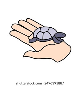 animal newly hatched tortoise baby hand drawn color vector illustration