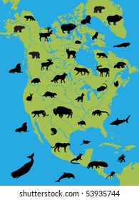 animal of North America