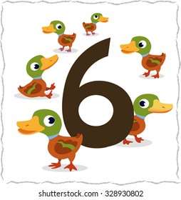 Animal numbers for kids: 6 duck.