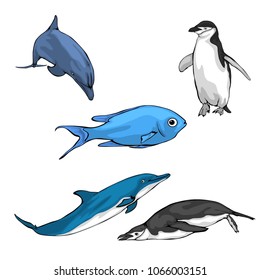 animal ocean vector illustration