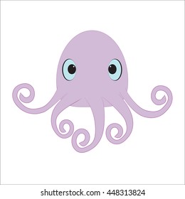 Animal octopus
