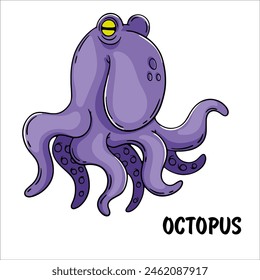 animal octopus vector marine animal fish invertebrate appendage