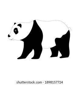 Animal panda drawing, vector illustration