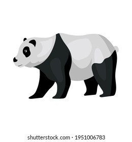 Animal panda drawing, vector illustration