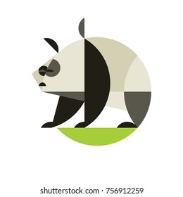 Animal panda on white background