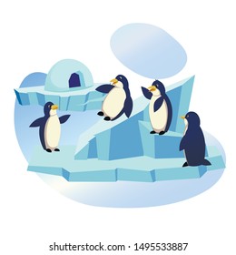 Animal Park, Zoo, Group of Funny Penguins Playing on Ice Floe with Icehouse, Skating from Snowy Slide, Waterfowl Aquatic Flightless Birds Wildlife, Lifestyle, Nature. Cartoon Flat Vector Illustration