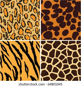 Animal pattern