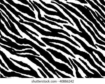 animal pattern skin fur vector zebra - XXL version in jpeg available in my portfolio