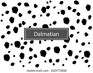 Animal pattern for textile design. Seamless pattern of dalmatian spots. Horizontal background, black chaotic spots isolated on white.