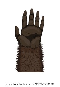 Animal paw. Animalistic foot of gorilla. Funny fur pet. Cute cartoon animal body part isolated on white background