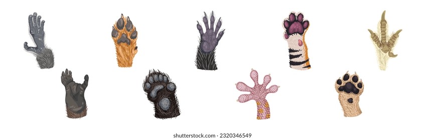 Animal Paw and Animalistic Pets Claw Vector Set