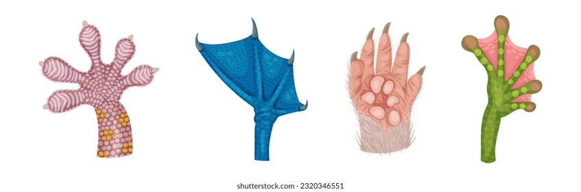 Animal Paw and Animalistic Pets Claw Vector Set