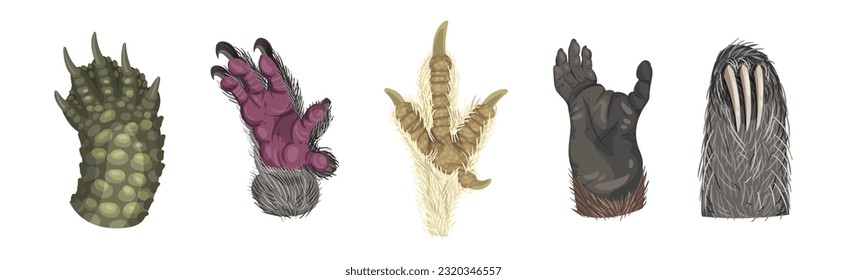 Animal Paw and Animalistic Pets Claw Vector Set