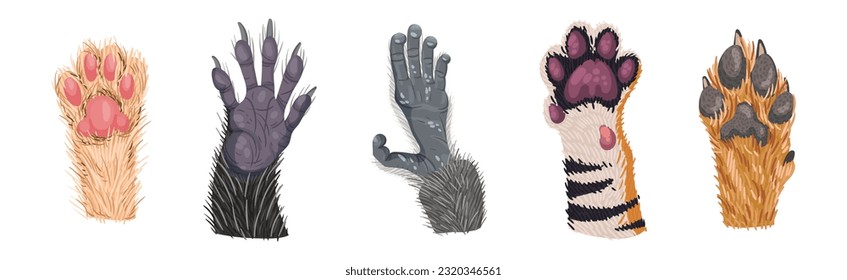 Animal Paw and Animalistic Pets Claw Vector Set