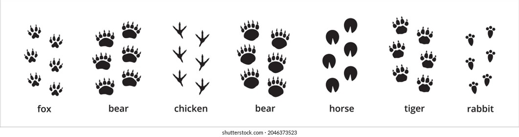 Animal Paw And Foot Print Trail. Contains Footprint Trace Of Fox, Bear, Grizzly, Chicken, Horse, Tiger, And Rabbit. Vector Illustration On Animal Foot Print Shape.