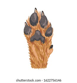 Animal Paw Isolated on White Background Vector Element. Pad with Sharp Claws