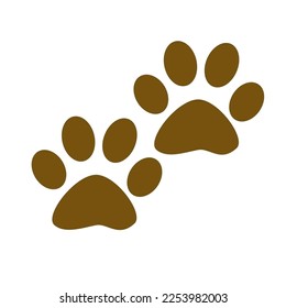 animal paw isolated on white