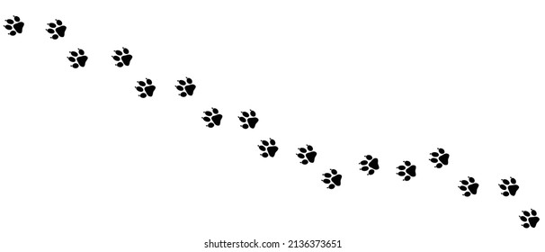 Animal paw print background vector