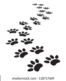 animal paw prints