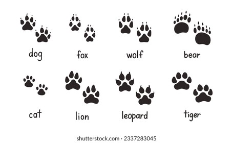 Animal paw prints set, vector different animals footprints. Dog fox wolf bear cat lion leopard tiger