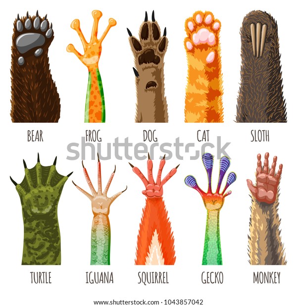 Animal paw vector animalistic pets claw. Cat\
or dog and pawed bear or monkey foot illustration. Set isolated on\
white background