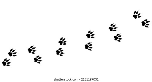 Animal pawprint trail. Sketch footprints of a rabbit, bunny, cat or dog. Vector illustration isolated in white background