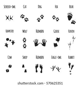 Download Rabbit Foot Stock Images, Royalty-Free Images & Vectors ...