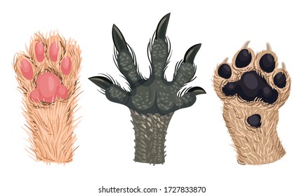Animal Paws with Claws and Hair Isolated on White Background Vector Set