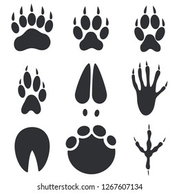 Animal Paws, Hoofs and Foot Trace Prints Isolated on White Background. Wild Animals Step Imprints Set. Vector Illustration.