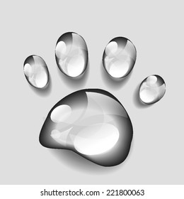 animal paws print, dew vector ,tiger , lion wildlife paws animal sign icon